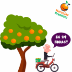 5 kg de Kumquats