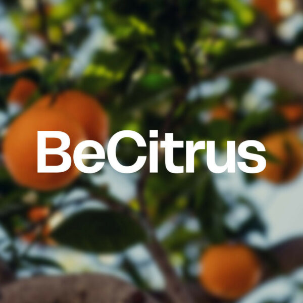 comunidad-becitrus-1000