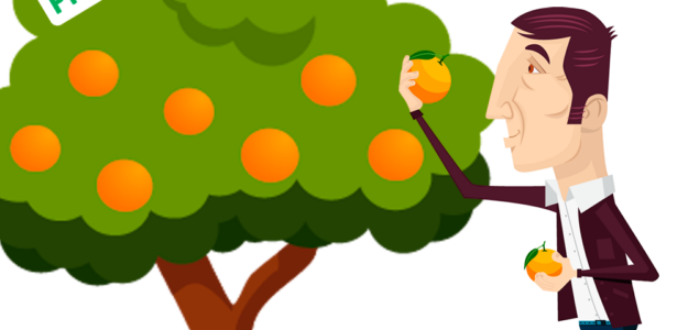 Naranjas Premium
