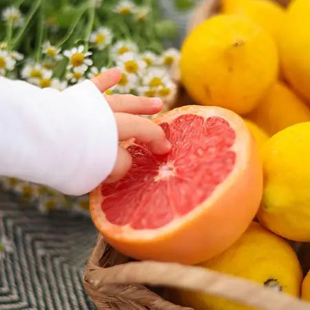 Limones & pomelos