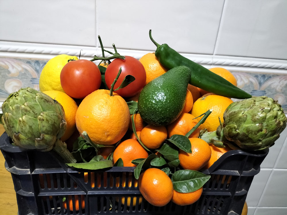 Naranjas Gaia